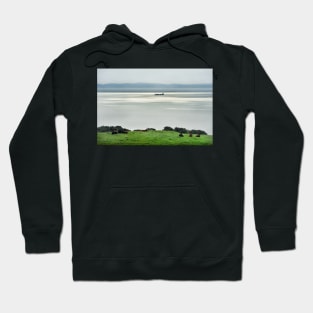 A ship moving along the Isle of Arran coast, Scotland Hoodie